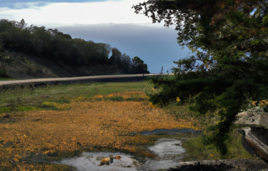 Savor the Ultimate Coconut Mushroom Soup with a Tamari Twist
