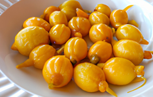 Zesty Citrus Delight: Preserved Lemon Magic