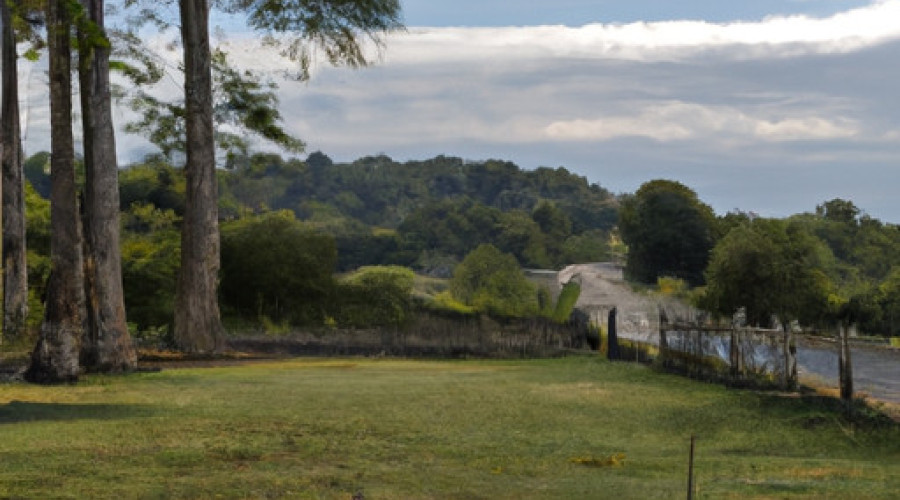 Speedy Horchata Recipe: A Simple and Flavorful Twist