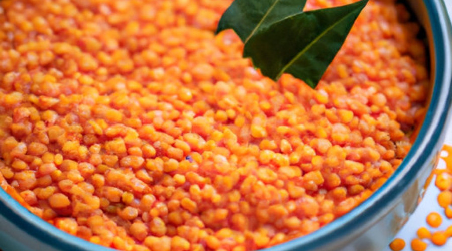 Savory Masoor Dal: A Flavorful Nutritious Delight