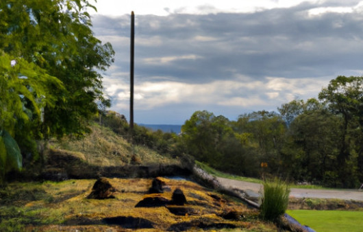 Savorful Mushroom Delight: Vegan Stuffed Goodness