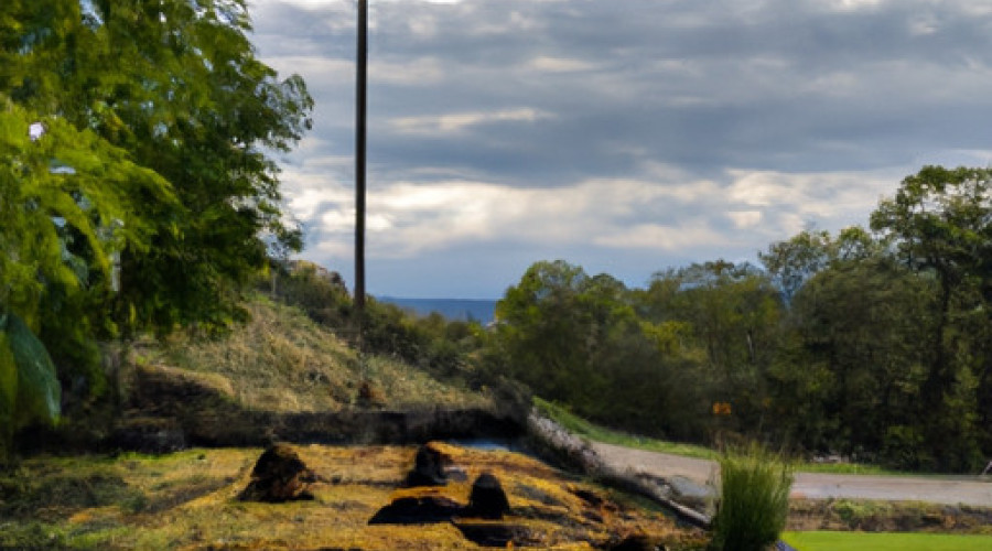 Savorful Mushroom Delight: Vegan Stuffed Goodness
