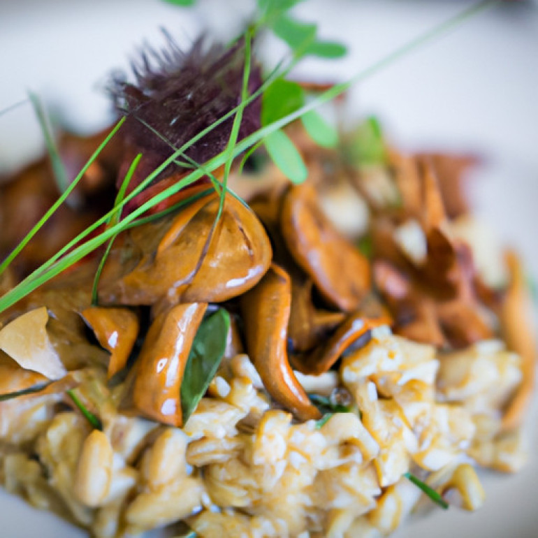 Savory Mixed Mushroom Risotto: A Delectable Blend of Flavors